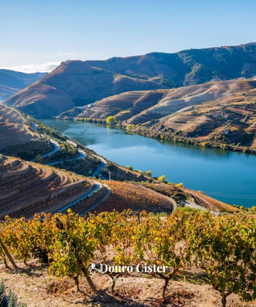 Douro Cister Hotel Resort Ucanha Εξωτερικό φωτογραφία